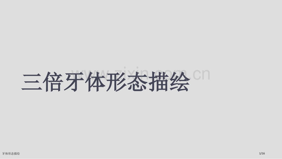 牙体形态描绘.pptx_第1页
