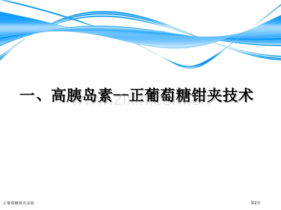 正葡萄糖钳夹实验.pptx_第2页