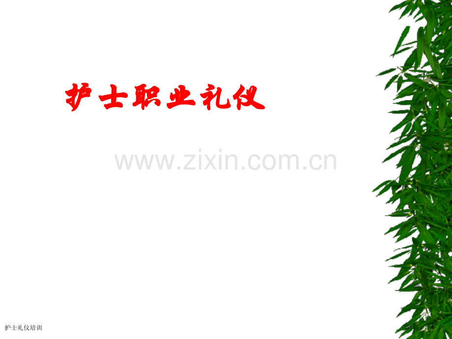 护士礼仪培训.pptx_第1页