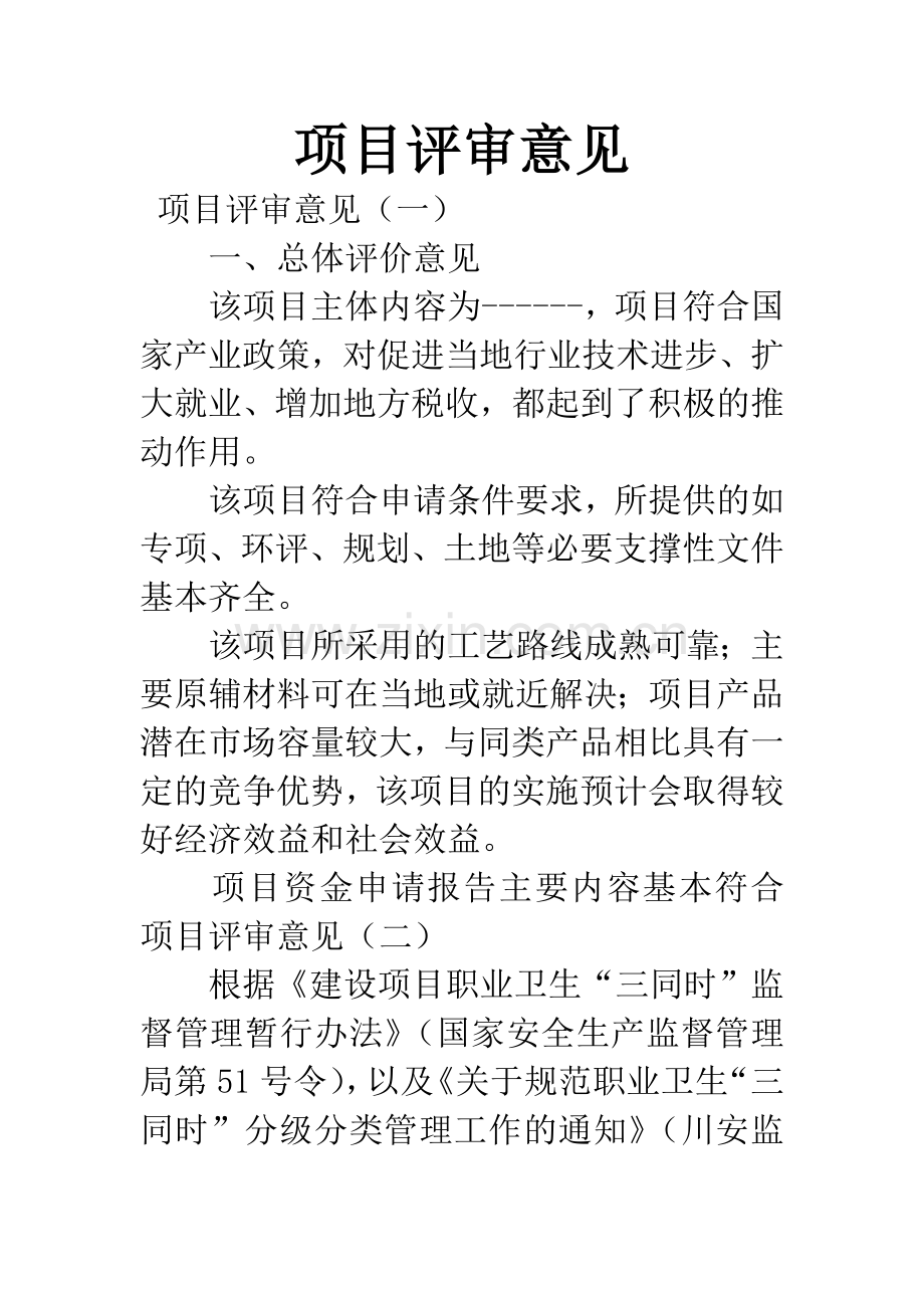 项目评审意见.docx_第1页