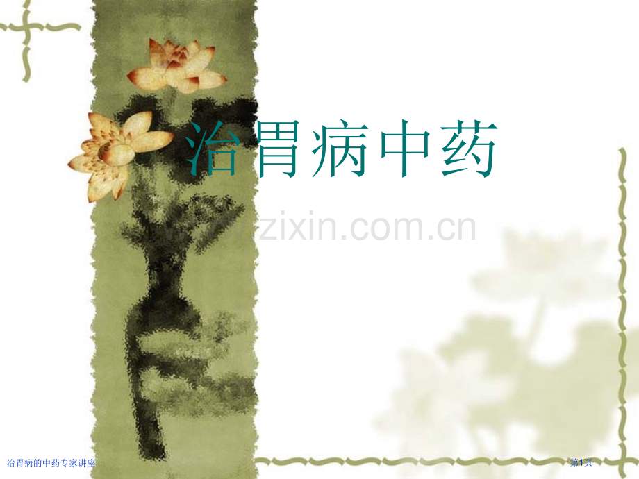 治胃病的中药专家讲座.pptx_第1页