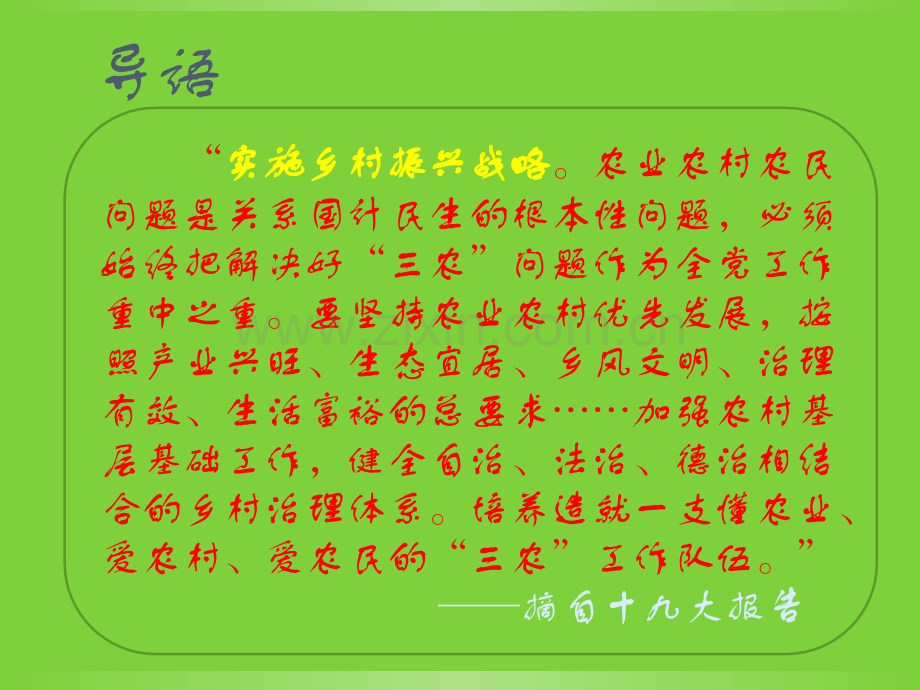 全面提升基层组织力为乡村振兴建强战斗堡垒专题培训课件.ppt_第2页