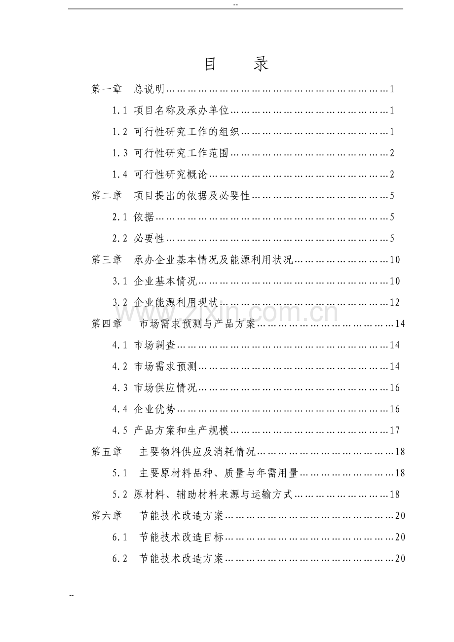 2016年煤气炉替代煤窑炉节能技术改造项目建设可研报告.doc_第2页