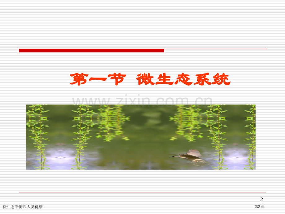 微生态平衡和人类健康专家讲座.pptx_第2页