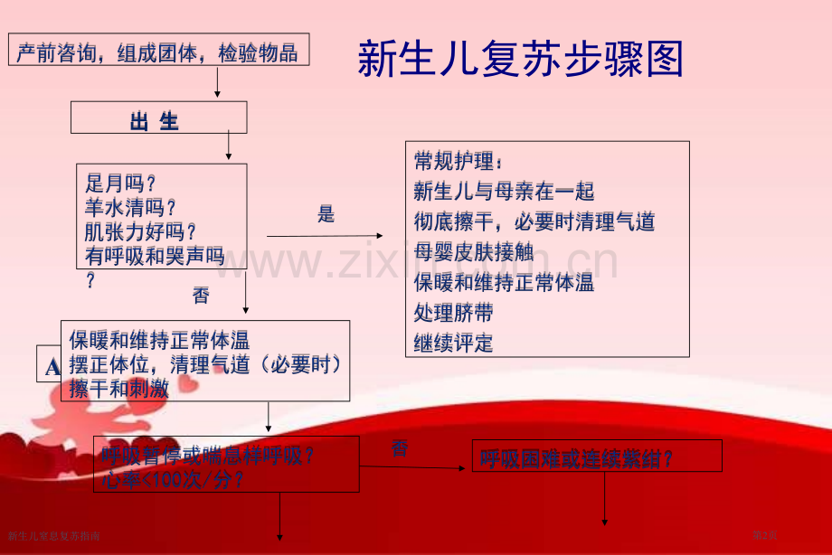 新生儿窒息复苏指南.pptx_第2页