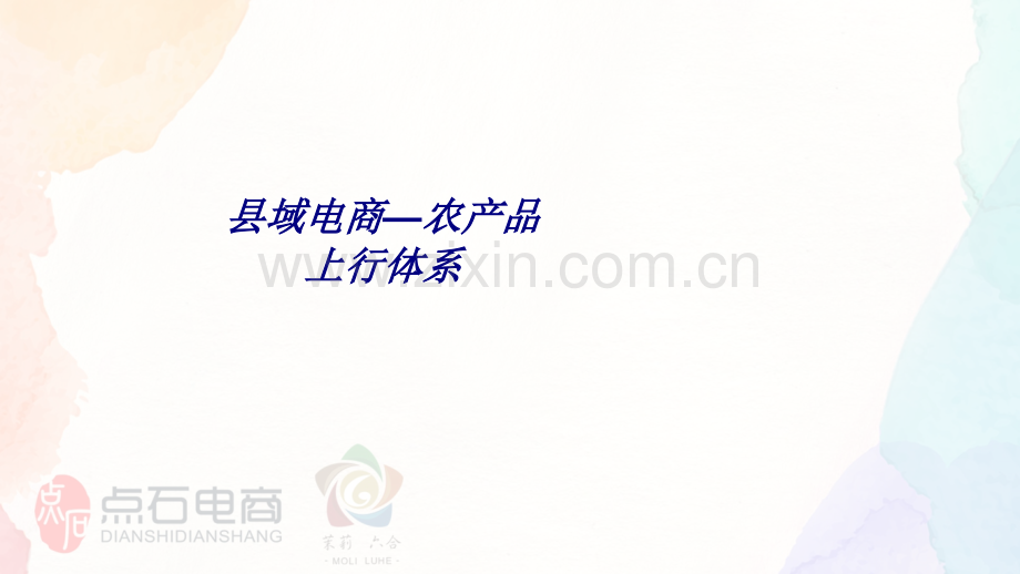 县域电商—农产品上行体系专题培训课件.ppt_第1页