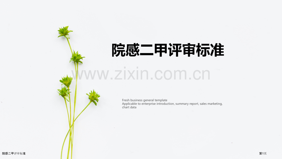 院感二甲评审标准.pptx_第1页