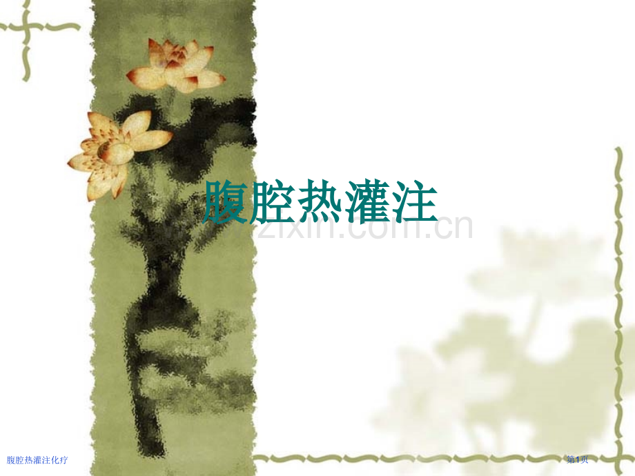 腹腔热灌注化疗.pptx_第1页