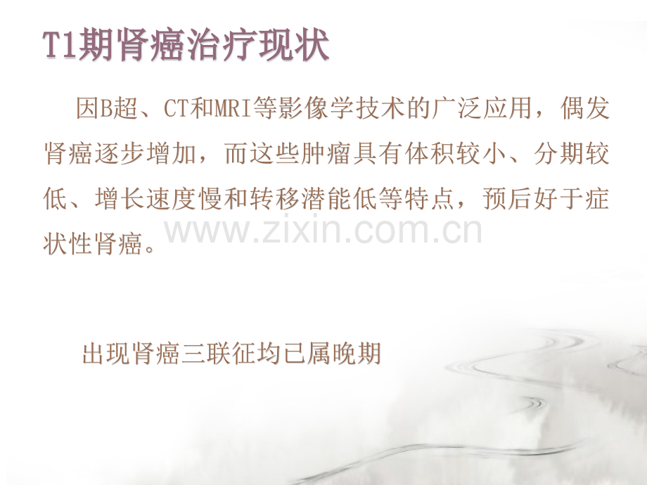 腹腔镜下肾部分切除术PPT优质课件.pptx_第2页