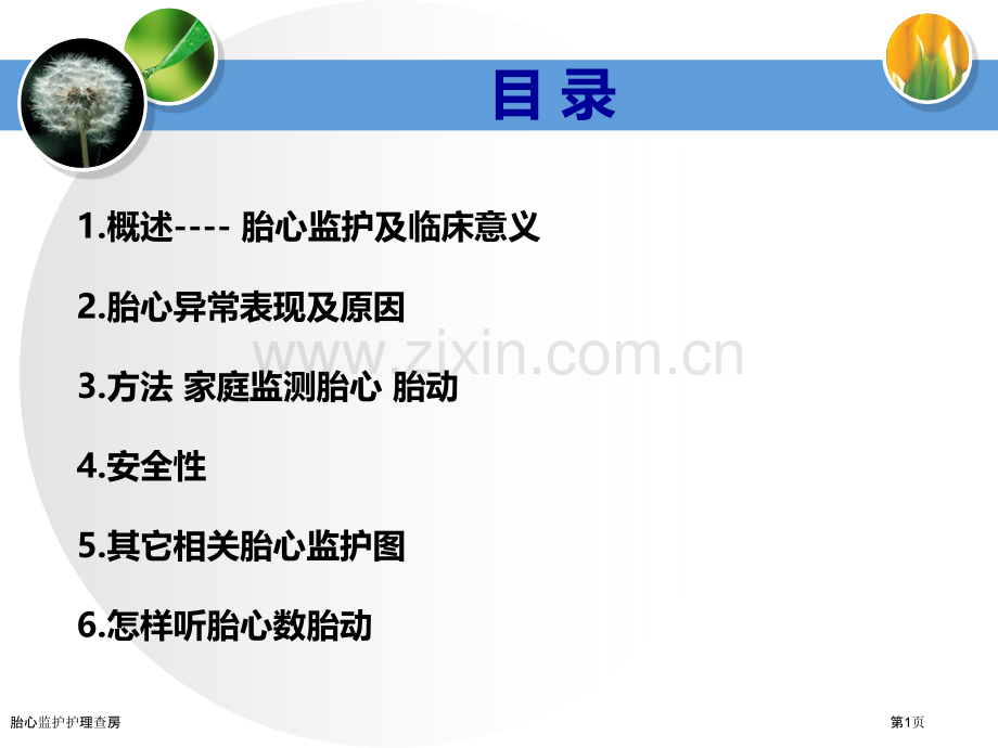 胎心监护护理查房.pptx_第1页