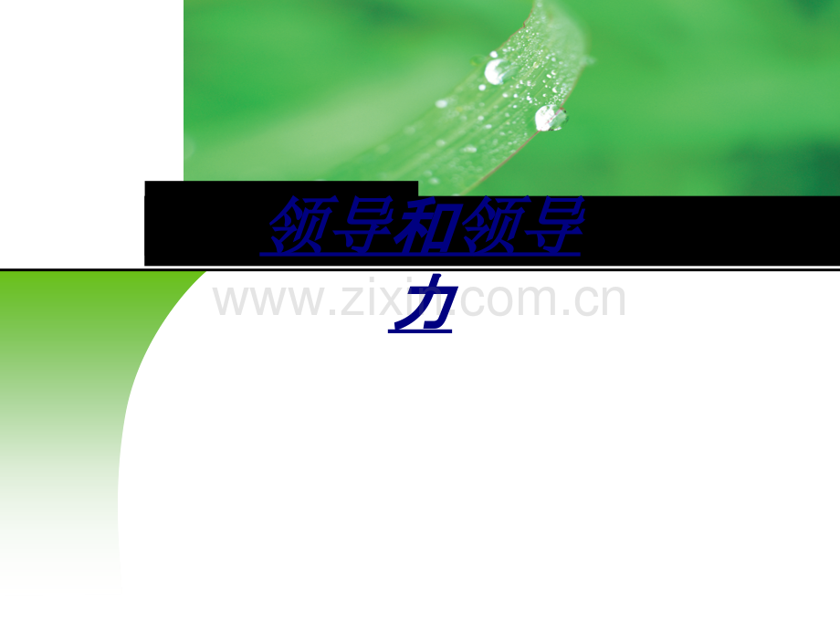 医学领导和领导力.ppt_第1页