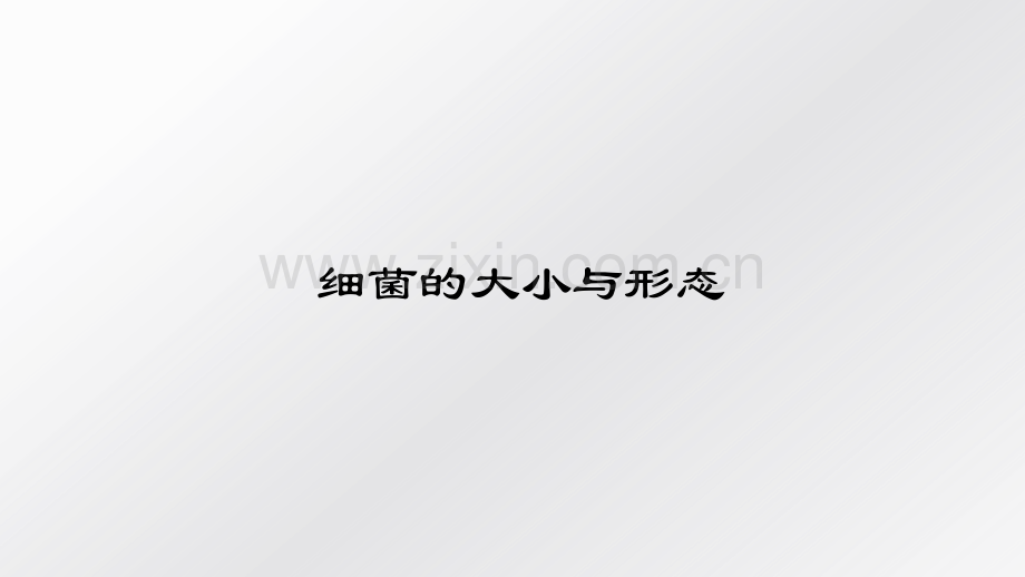 2-1细菌的大小与形态.pptx_第2页