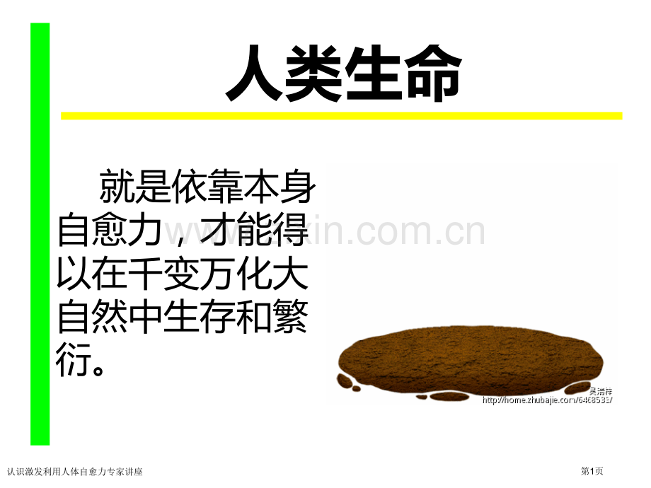认识激发利用人体自愈力专家讲座.pptx_第1页