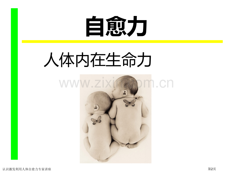 认识激发利用人体自愈力专家讲座.pptx_第2页