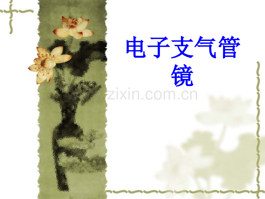 电子支气管镜PPT培训课件.ppt_第1页