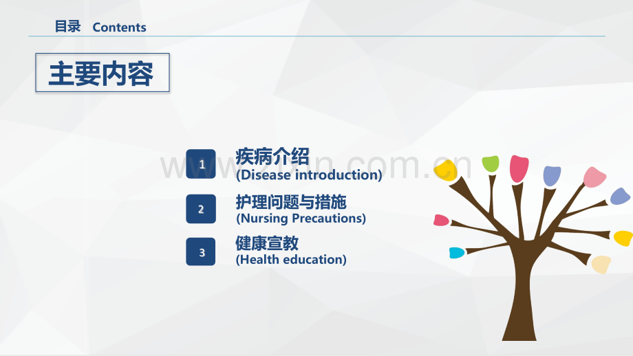 糖尿病患者护理查房ppt课件.pptx_第2页
