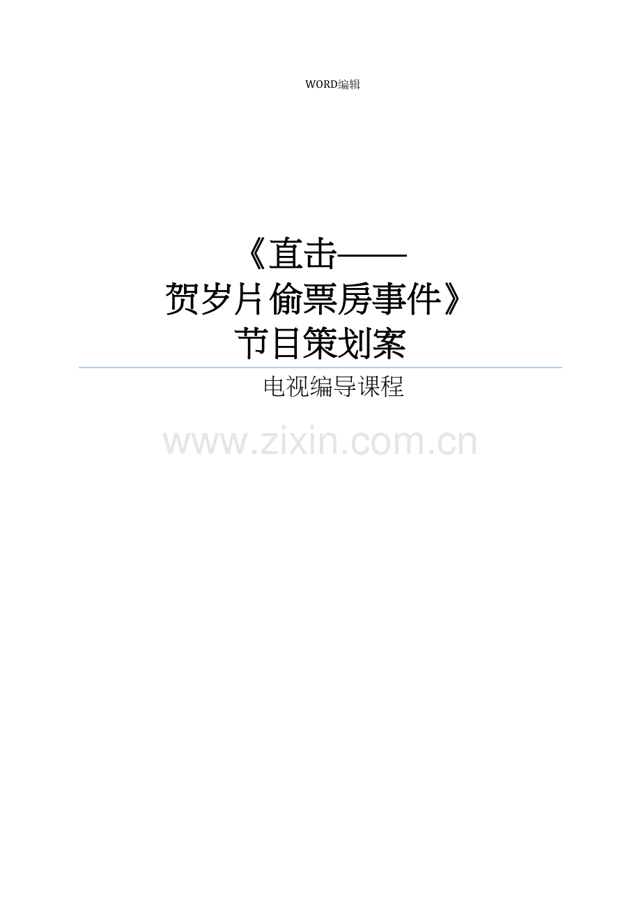电视编导节目策划案范例模板.docx_第2页