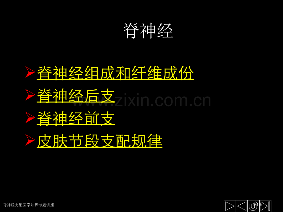 脊神经支配医学知识专题讲座.pptx_第1页