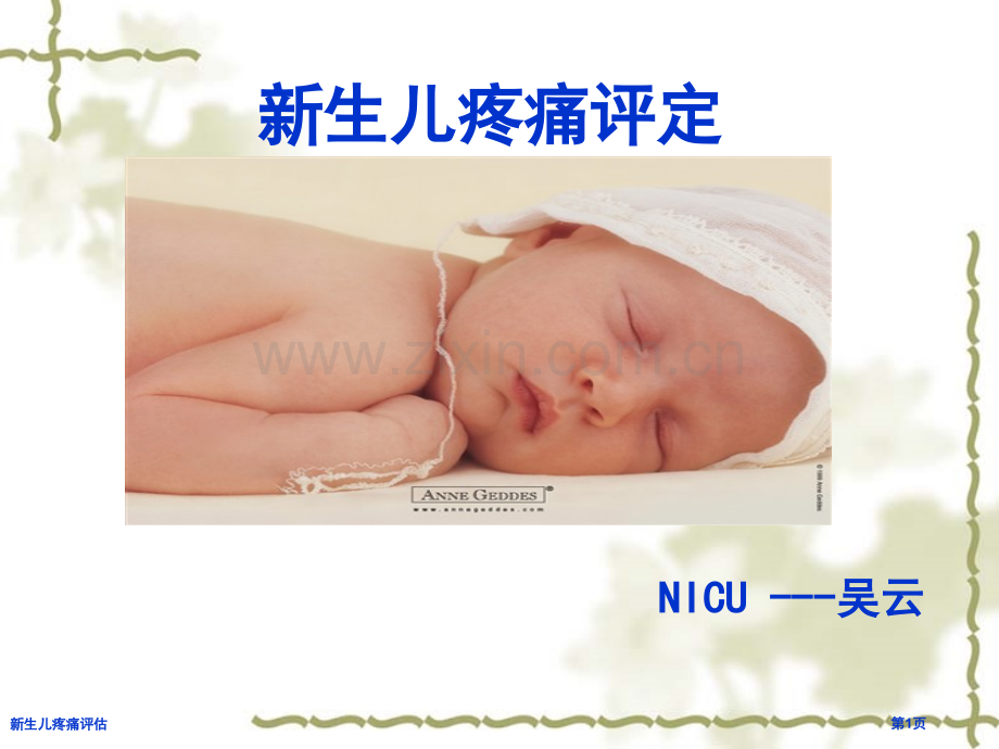 新生儿疼痛评估.pptx_第1页