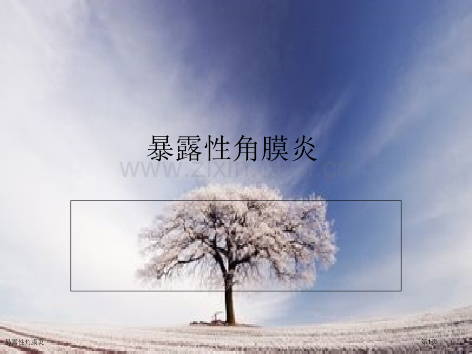 暴露性角膜炎.pptx_第1页