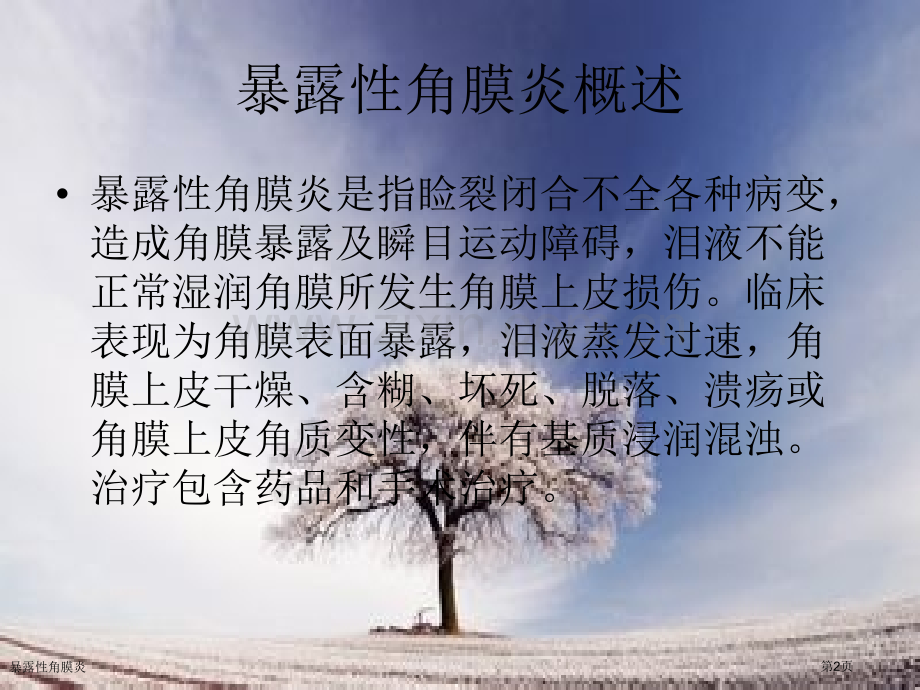 暴露性角膜炎.pptx_第2页