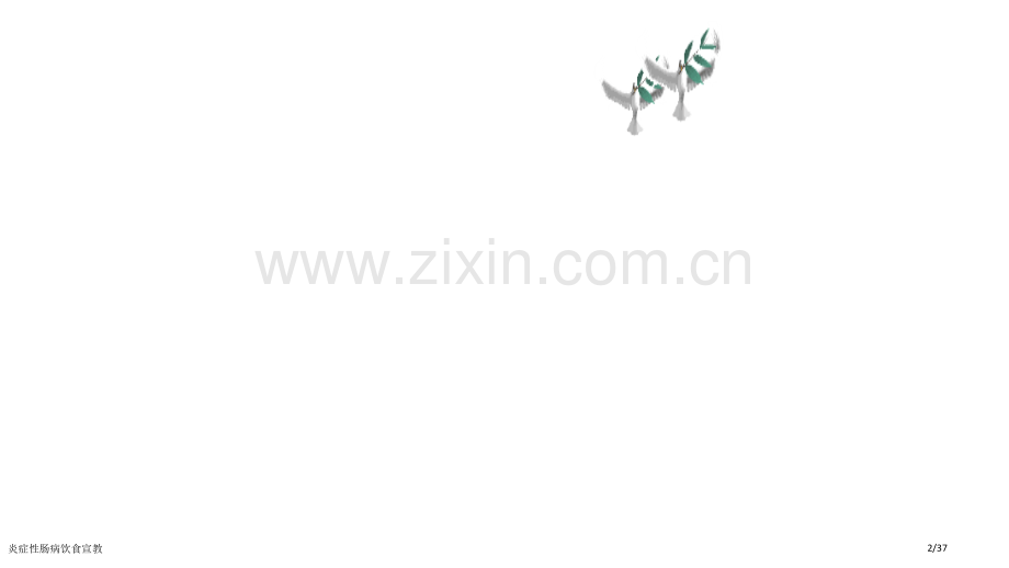炎症性肠病饮食宣教.pptx_第2页