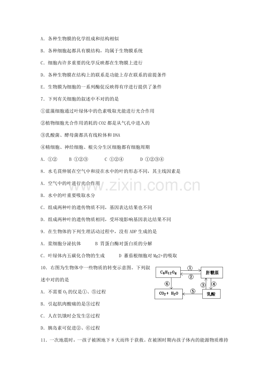 2023年全国中学生生物学竞赛上海赛区试题.doc_第2页