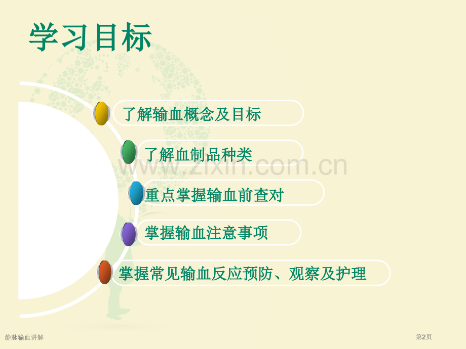 静脉输血讲解.pptx_第2页