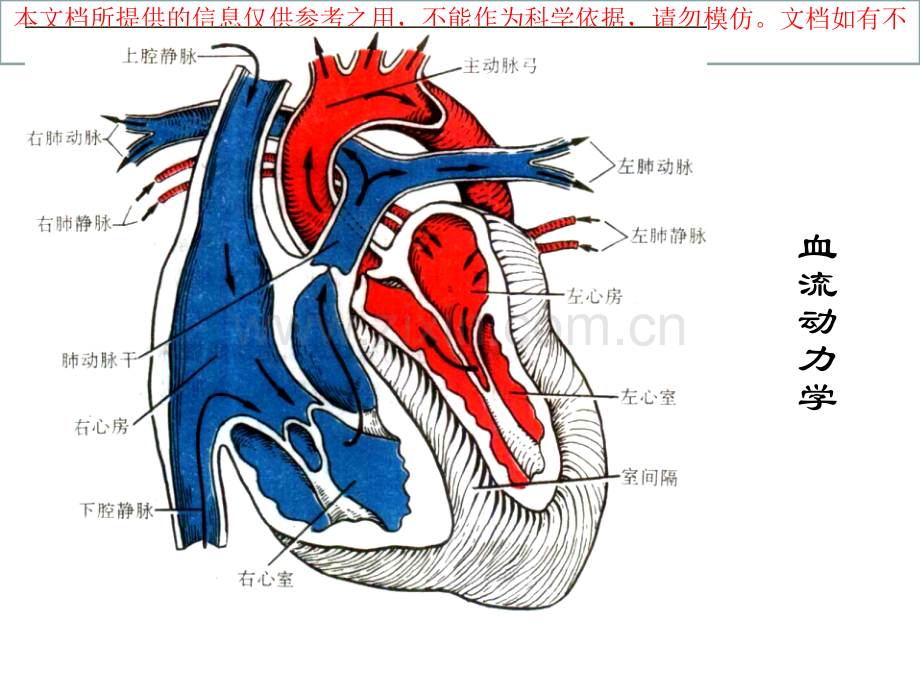 心脏重症超声培训课件.ppt_第2页