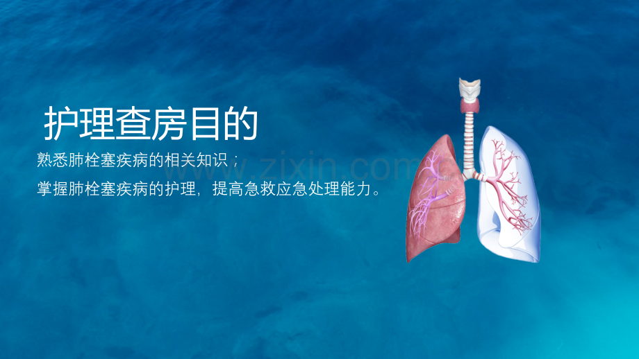 肺栓塞病人护理ppt.pptx_第2页