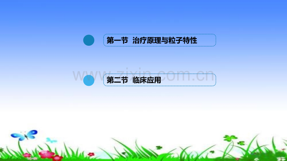 放射性粒子植入治疗讲义.ppt_第2页