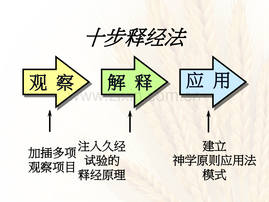 十步释经法路得记一章专题培训课件.ppt_第2页