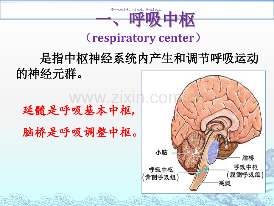 呼吸运动的调节.ppt_第2页