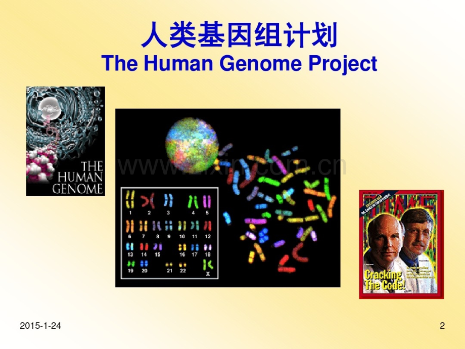 基因知识及报告解读.ppt_第1页