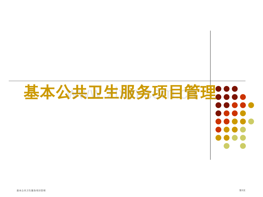 基本公共卫生服务项目管理.pptx_第1页