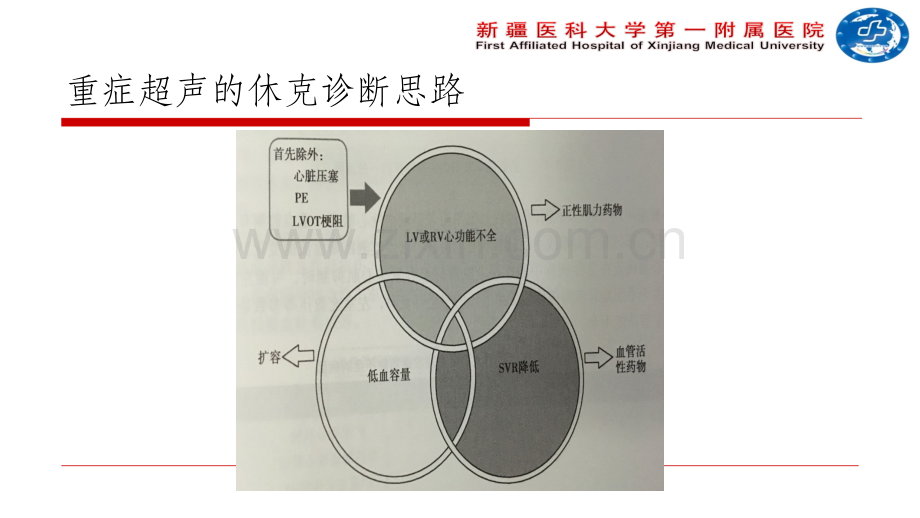 重症超声与血流动力学ppt课件.ppt_第2页