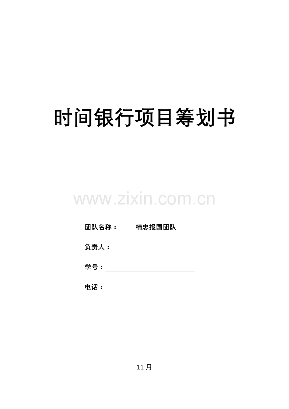 时间银行综合项目专题计划书.doc_第1页