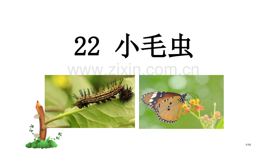 人教版部编教材二年级语文下册22-小毛虫市名师优质课赛课一等奖市公开课获奖课件.pptx_第1页