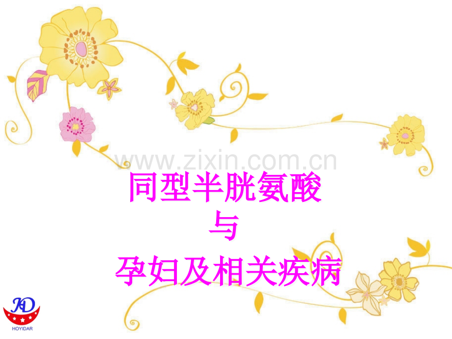 HCY与孕妇及相关疾病ppt课件.ppt_第1页