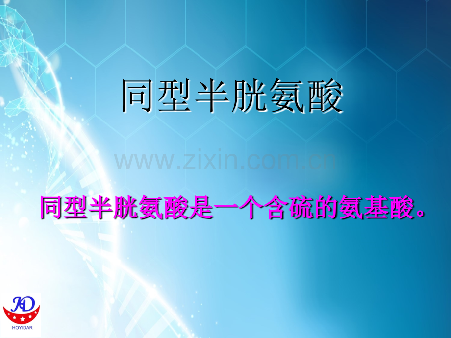 HCY与孕妇及相关疾病ppt课件.ppt_第2页