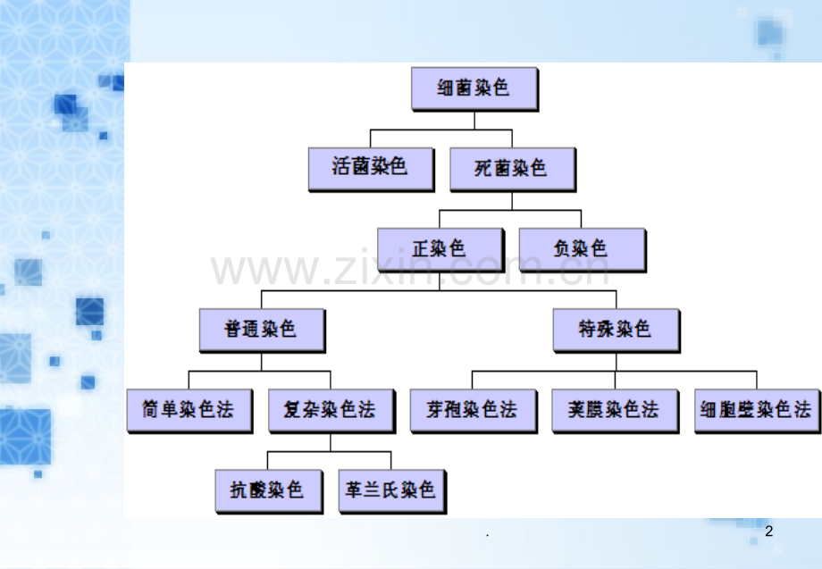 细菌一般染色方法PPT课件.ppt_第2页