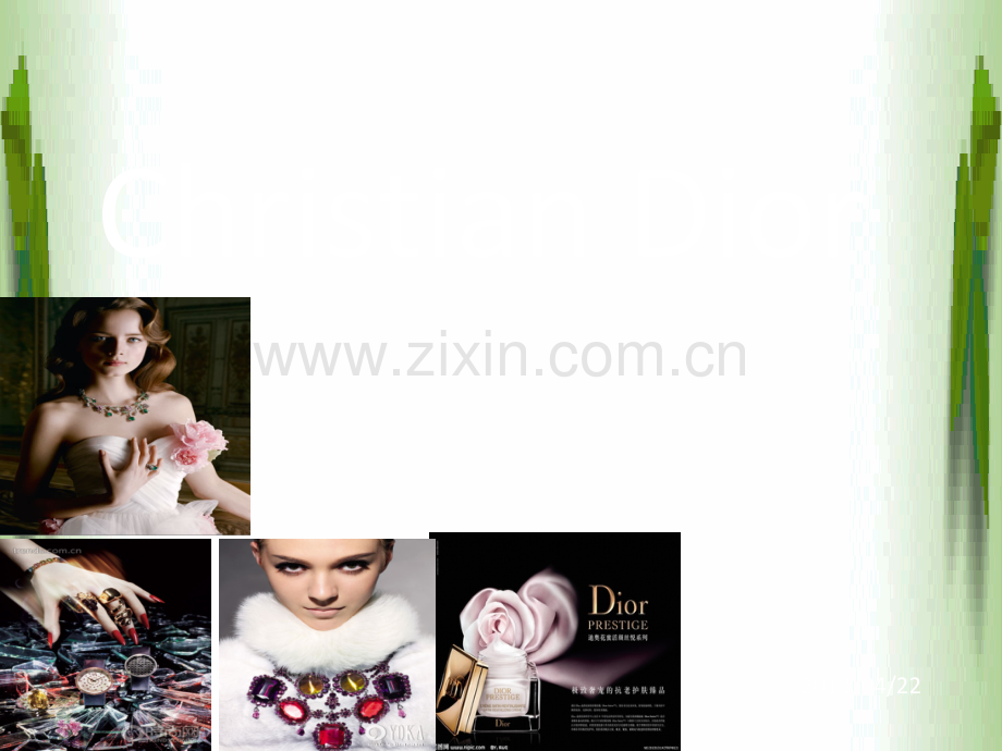 DIOR行业发展与预测及同行业竞争分析.ppt_第1页