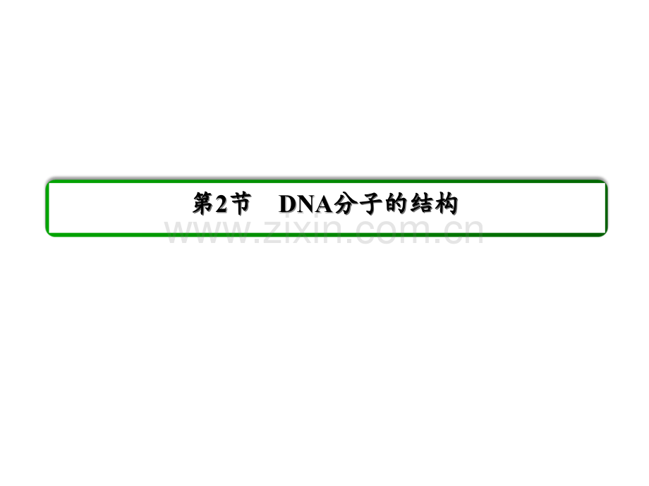 《DNA分子的结构》PPT课件.ppt_第2页