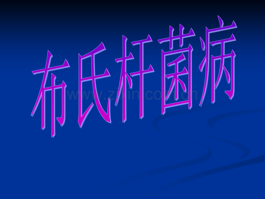 布氏杆菌.ppt_第1页
