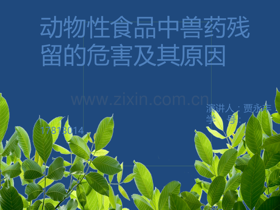 动物性食品中兽药残留的危害及其原因ppt课件.pptx_第1页