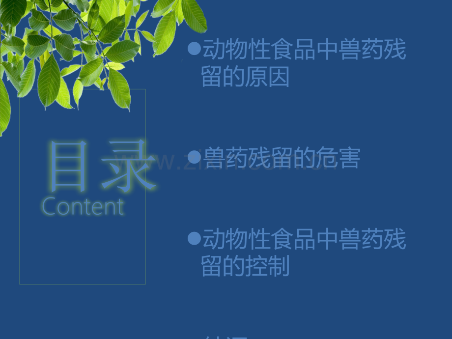 动物性食品中兽药残留的危害及其原因ppt课件.pptx_第2页