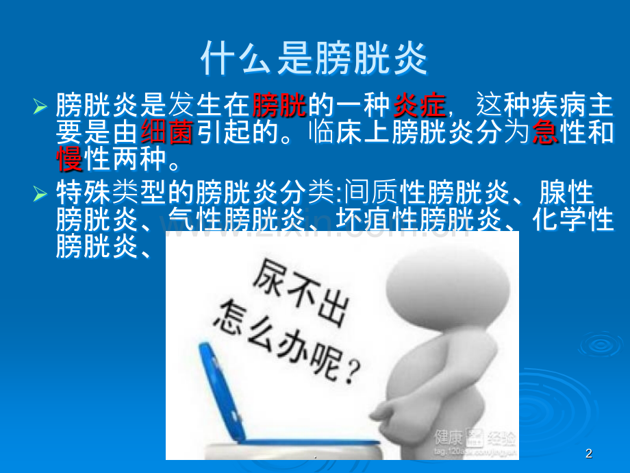 膀胱炎疾病培训ppt课件.ppt_第2页