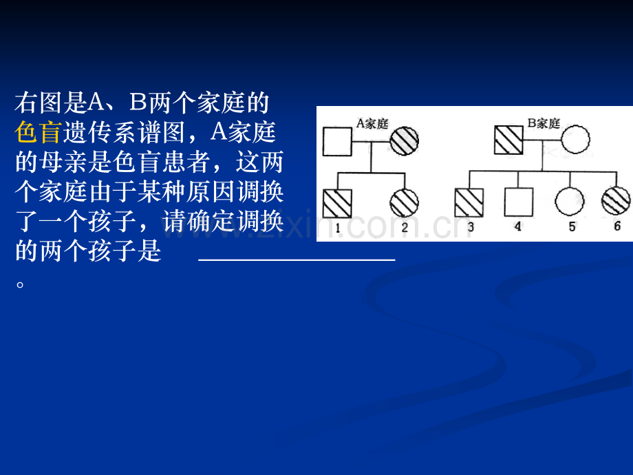 遗传方式判断专题.ppt_第2页