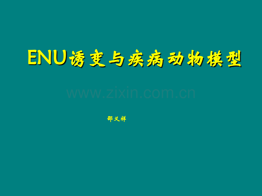 ENU与疾病动物模型ppt课件.ppt_第1页