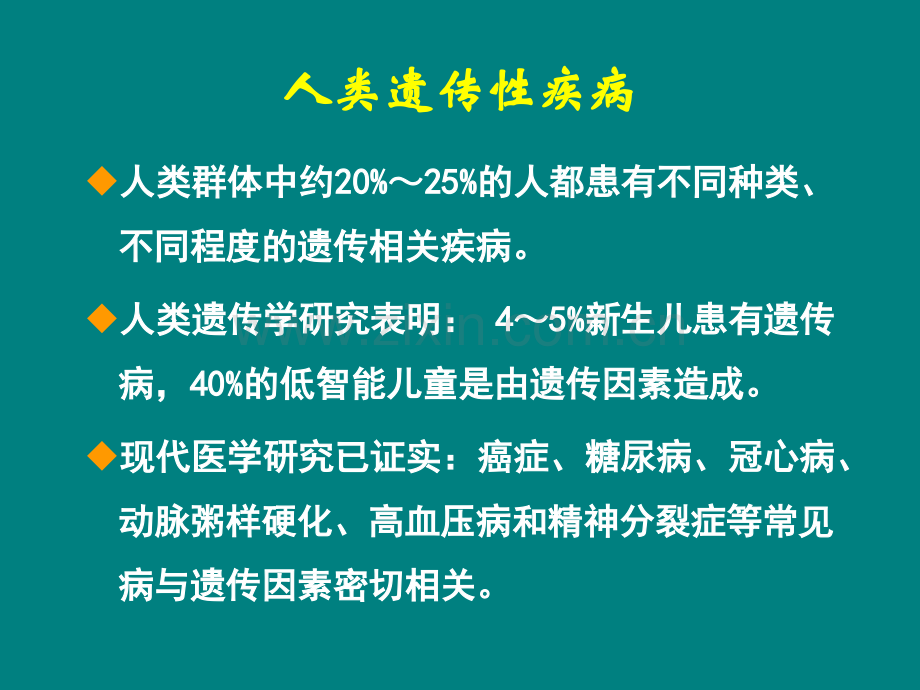 ENU与疾病动物模型ppt课件.ppt_第2页